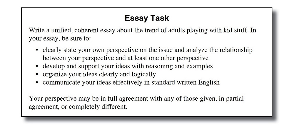 essay exam examples