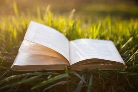 Open book on grass under the sun